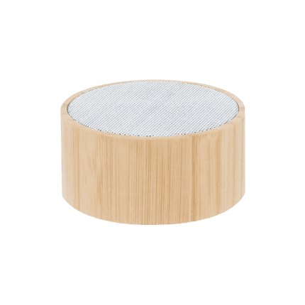 BOCINA NOYONZ 080